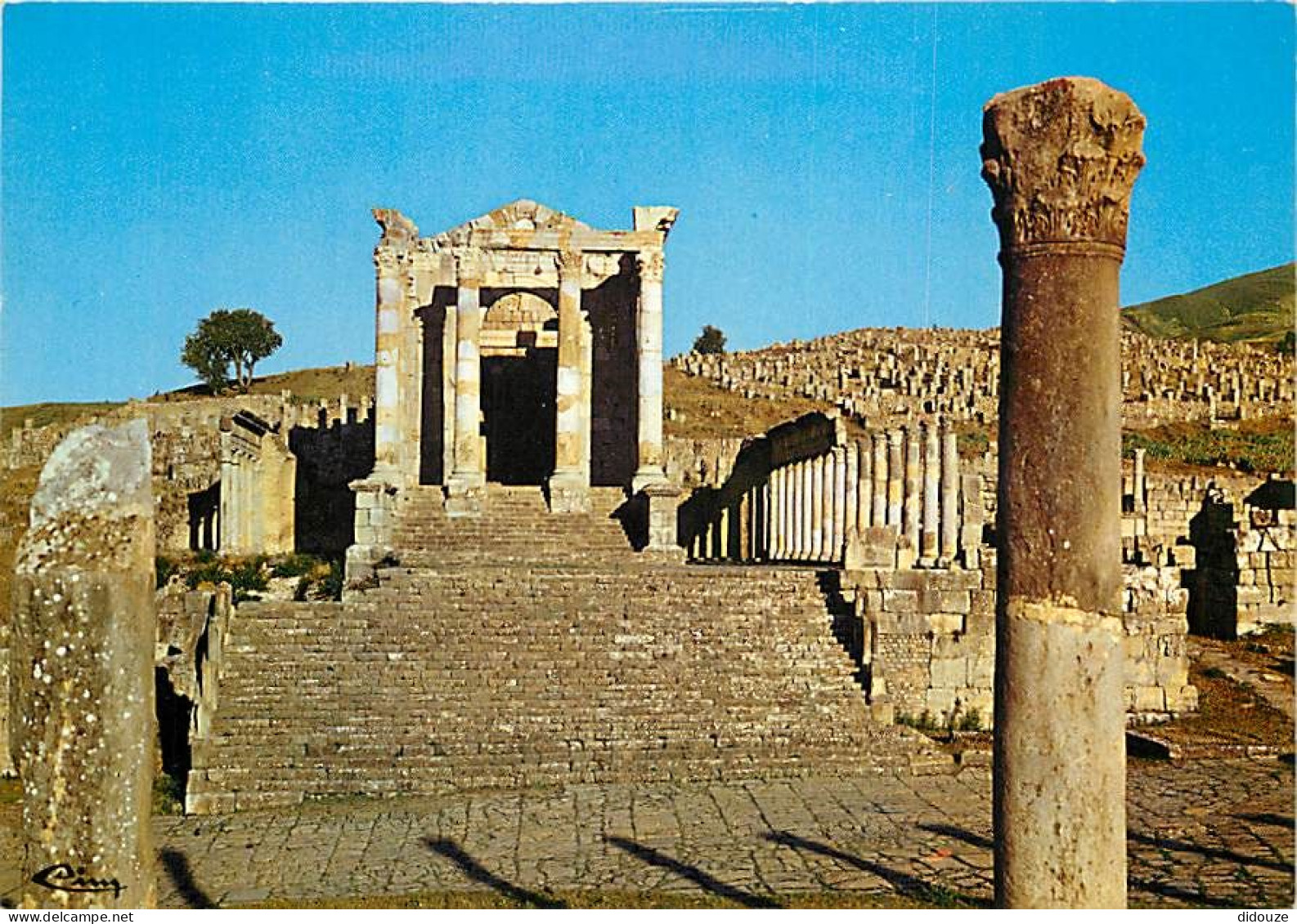 Algérie - Tébessa - Les Ruines Romaines - CPM - Carte Neuve - Voir Scans Recto-Verso - Tébessa