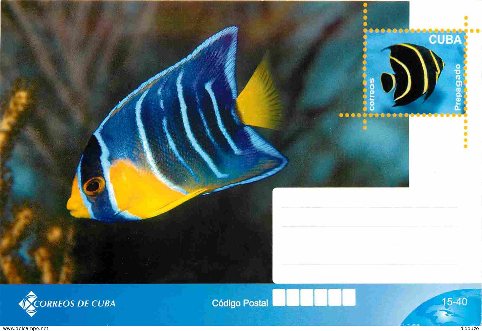 Animaux - Poissons - Cuba - Correos De Cuba - CPM Dos Blanc - Voir Scans Recto-Verso - Fish & Shellfish