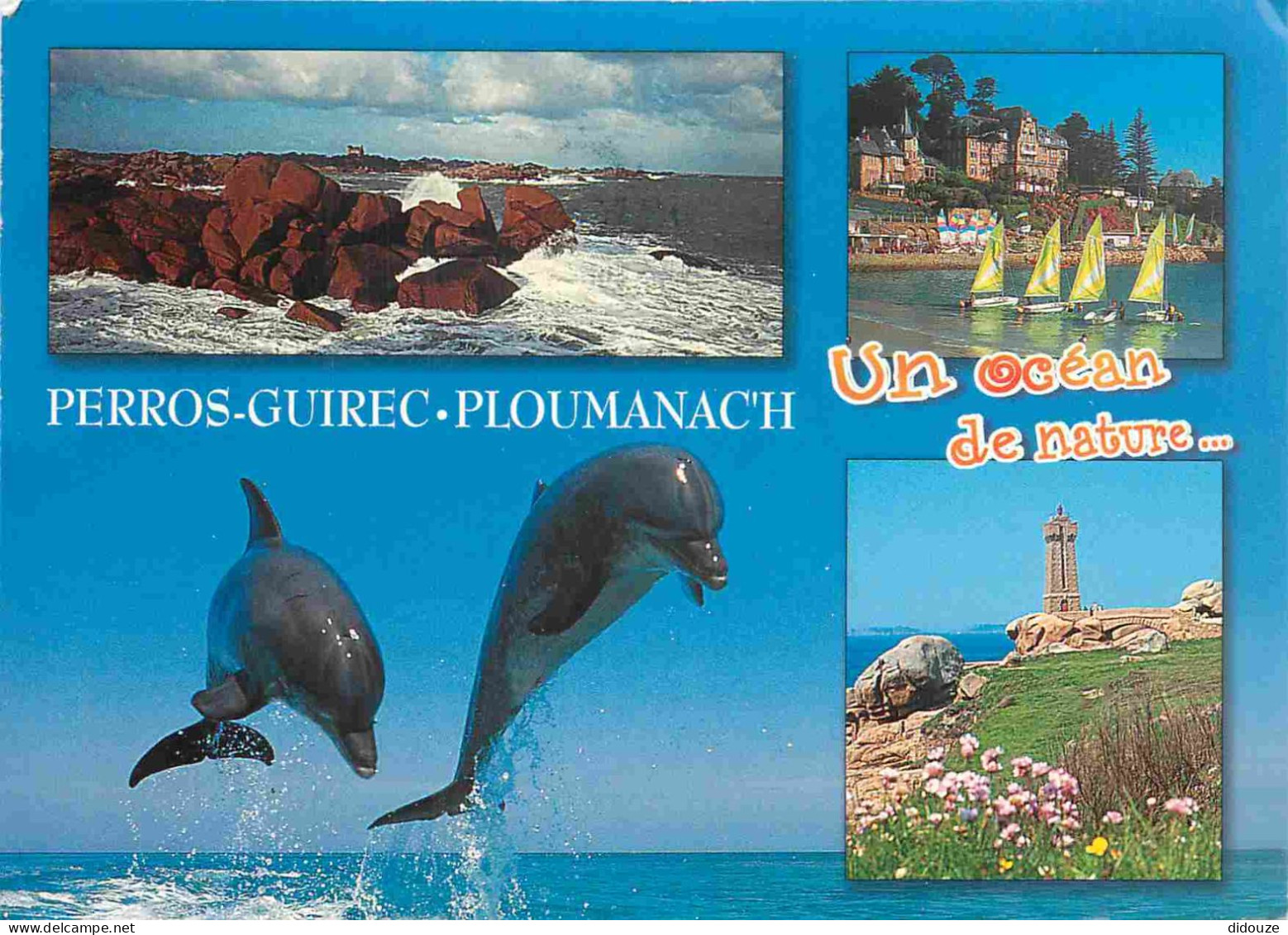 Animaux - Dauphin - Dolphin - Perros-Guirech - Ploumanac'h - Multivues - CPM - Voir Scans Recto-Verso - Delfines