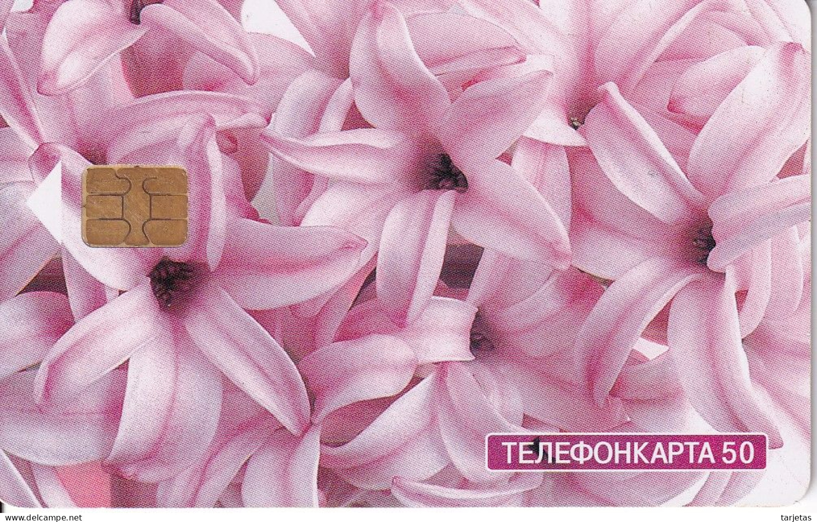 TARJETA DE RUSIA DE UNA FLOR DE TIRADA 30000  (FLOR -FLOWER) - Rusia