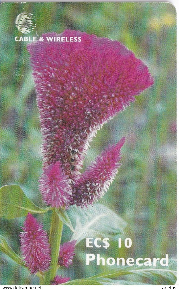 TARJETA DE ANTIGUA & BARBUDA DE UNA FLOR CELOSIA (FLOWER) - Antigua And Barbuda