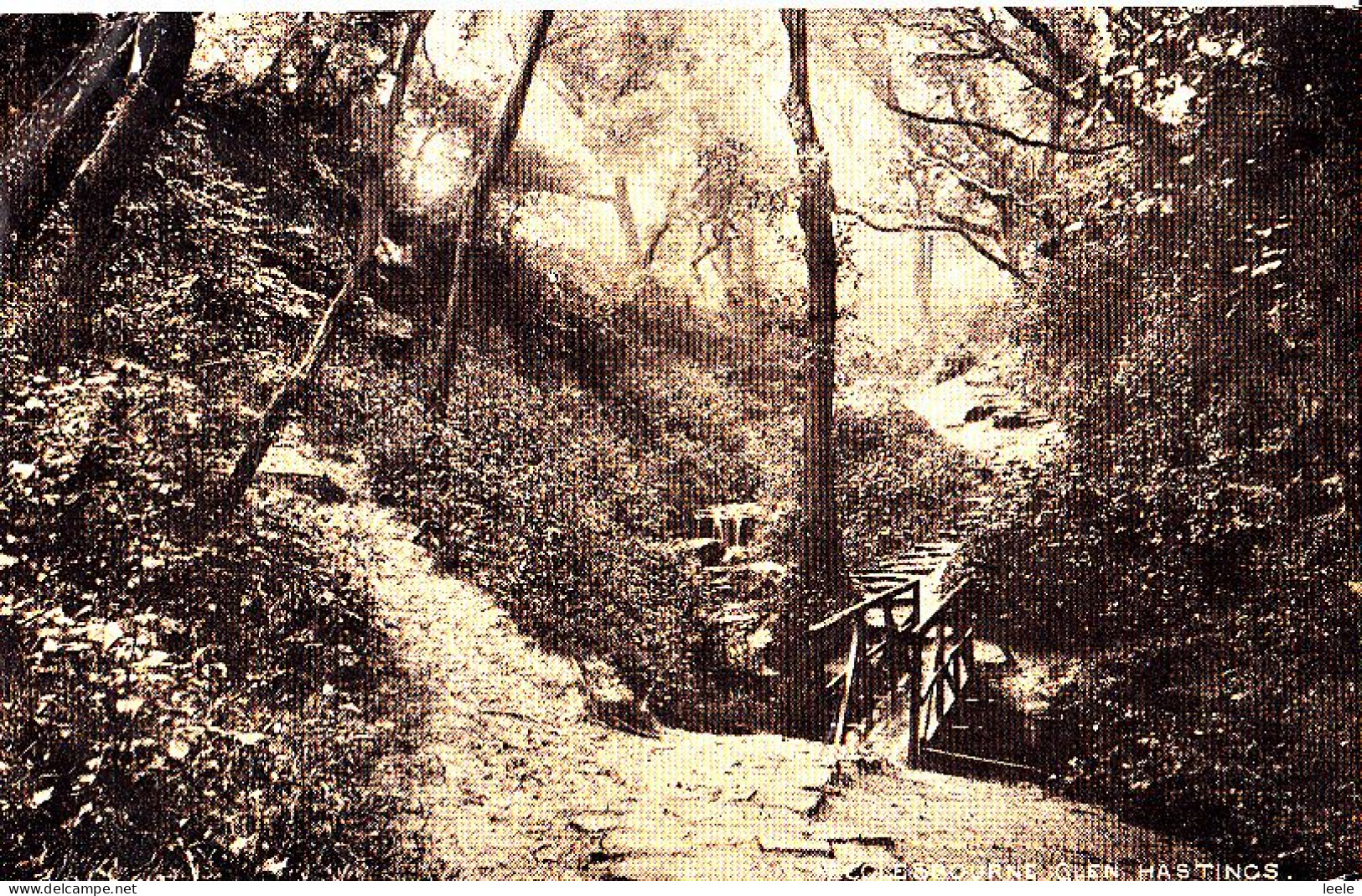 CW44. Vintage Postcard. Ecclebourne Glen, Hastings. Sussex. - Hastings