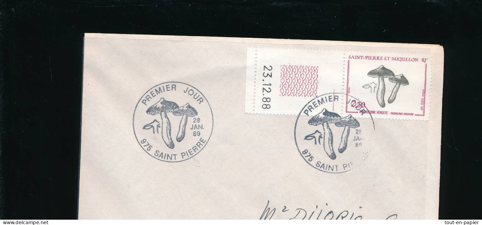 St Pierre Et Miquelon N°497 Flore Champignon "Tricholome Vergeté" (Tricholoma Virgatum) FDC 23.12.88 - Sur Enveloppe - Briefe U. Dokumente