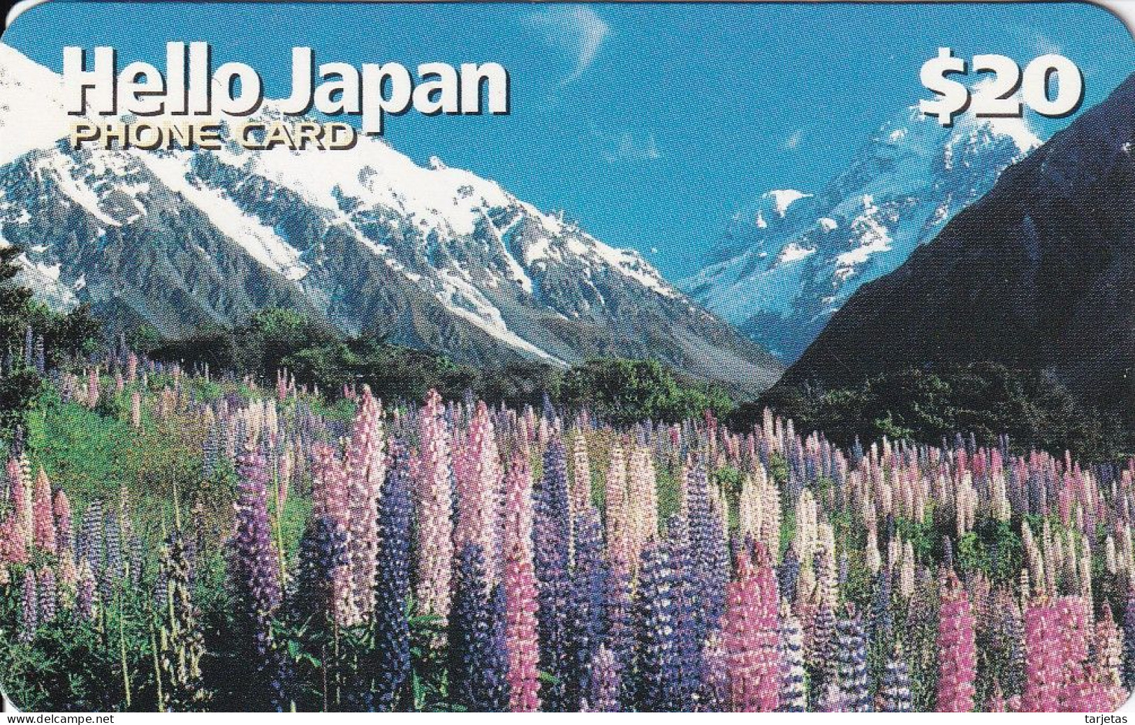 TARJETA DE NUEVA ZELANDA DE UNAS FLORES Y MONTAÑAS  (FLOWER-FLOR) NUEVA-MINT - Neuseeland