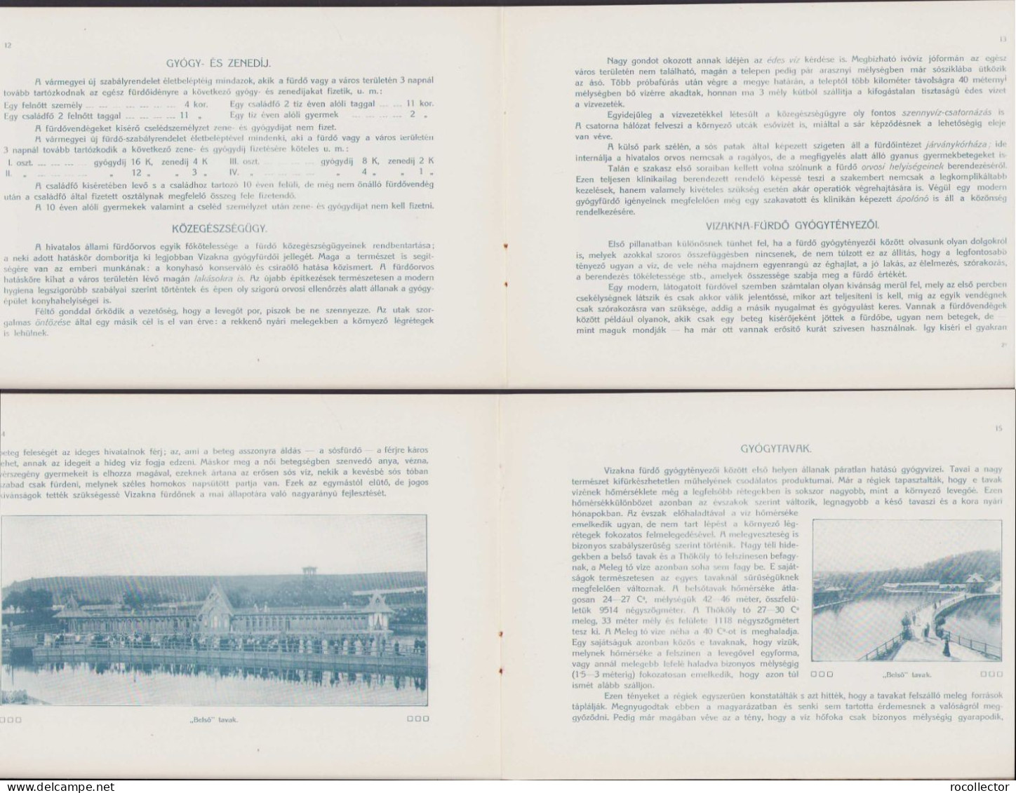 Vizakna állami Sósgyógyfürdö (pre-1918) 413SP - Old Books