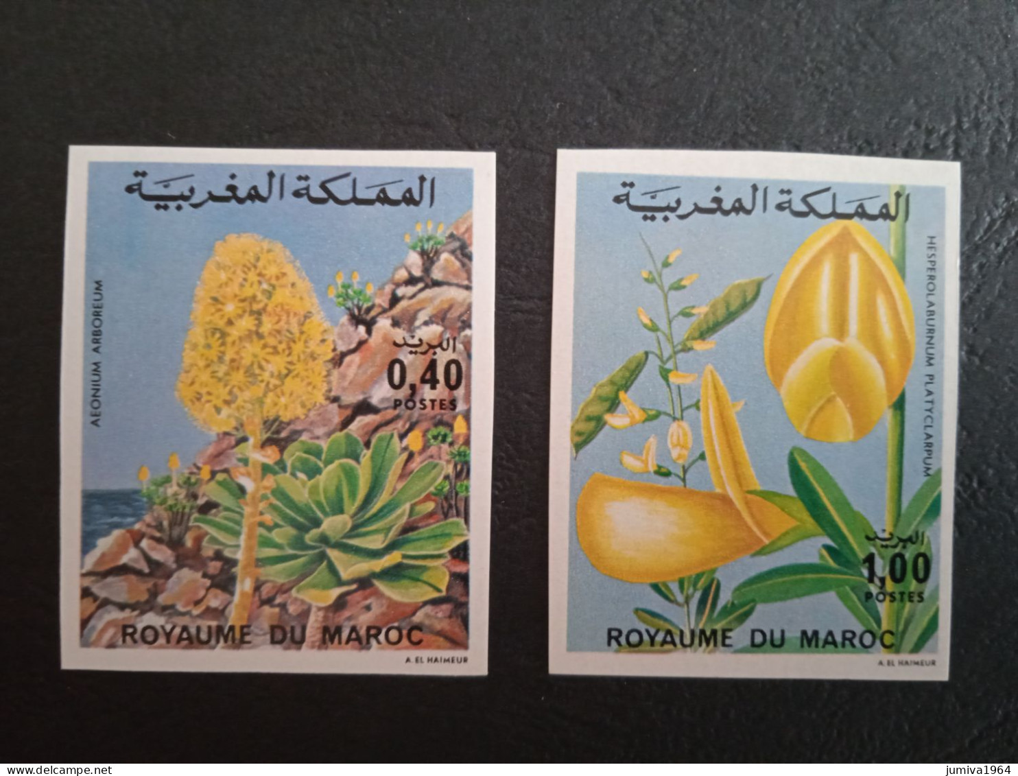Maroc - Morocco - Marruecos - 1977 - Fleurs - ND - TTB - Marruecos (1956-...)