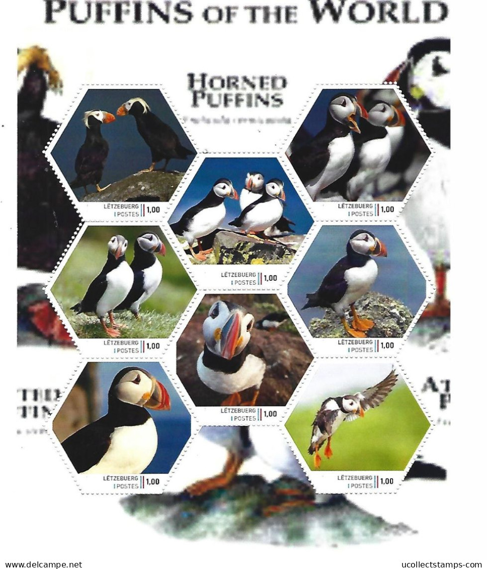 Luxemburg 2024-1  Papegaaiduikers   Puffins         Sheetlet     Postfris/mnh/neuf - Ungebraucht