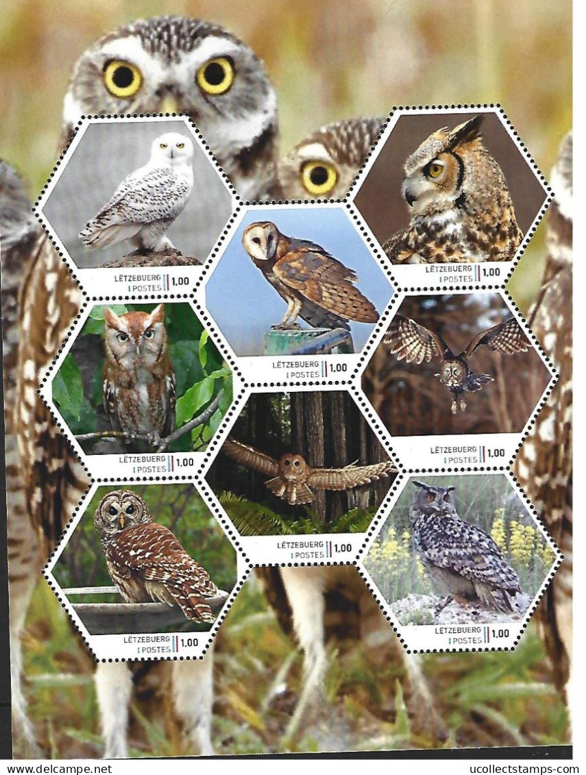Luxemburg 2024-1  Uilen  Owls        Sheetlet     Postfris/mnh/neuf - Ungebraucht