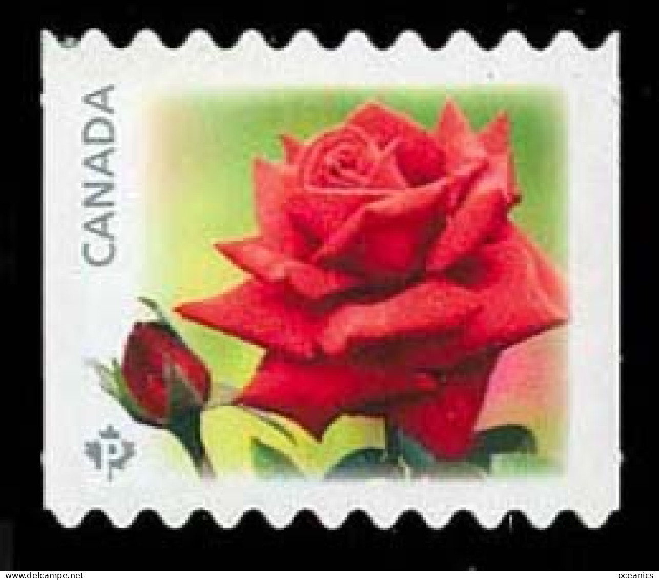 Canada (Scott No.2728 - Roses) [**] Coil - Unused Stamps