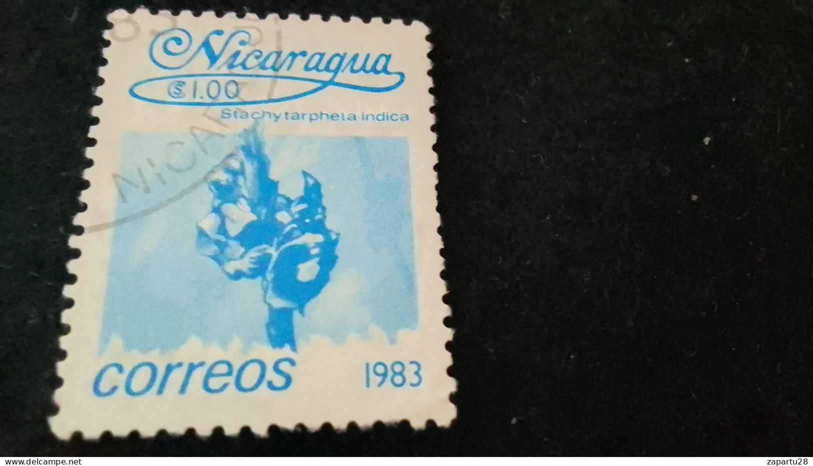 NİARAGUA-1983    1   CORD     DAMGALI - Nicaragua