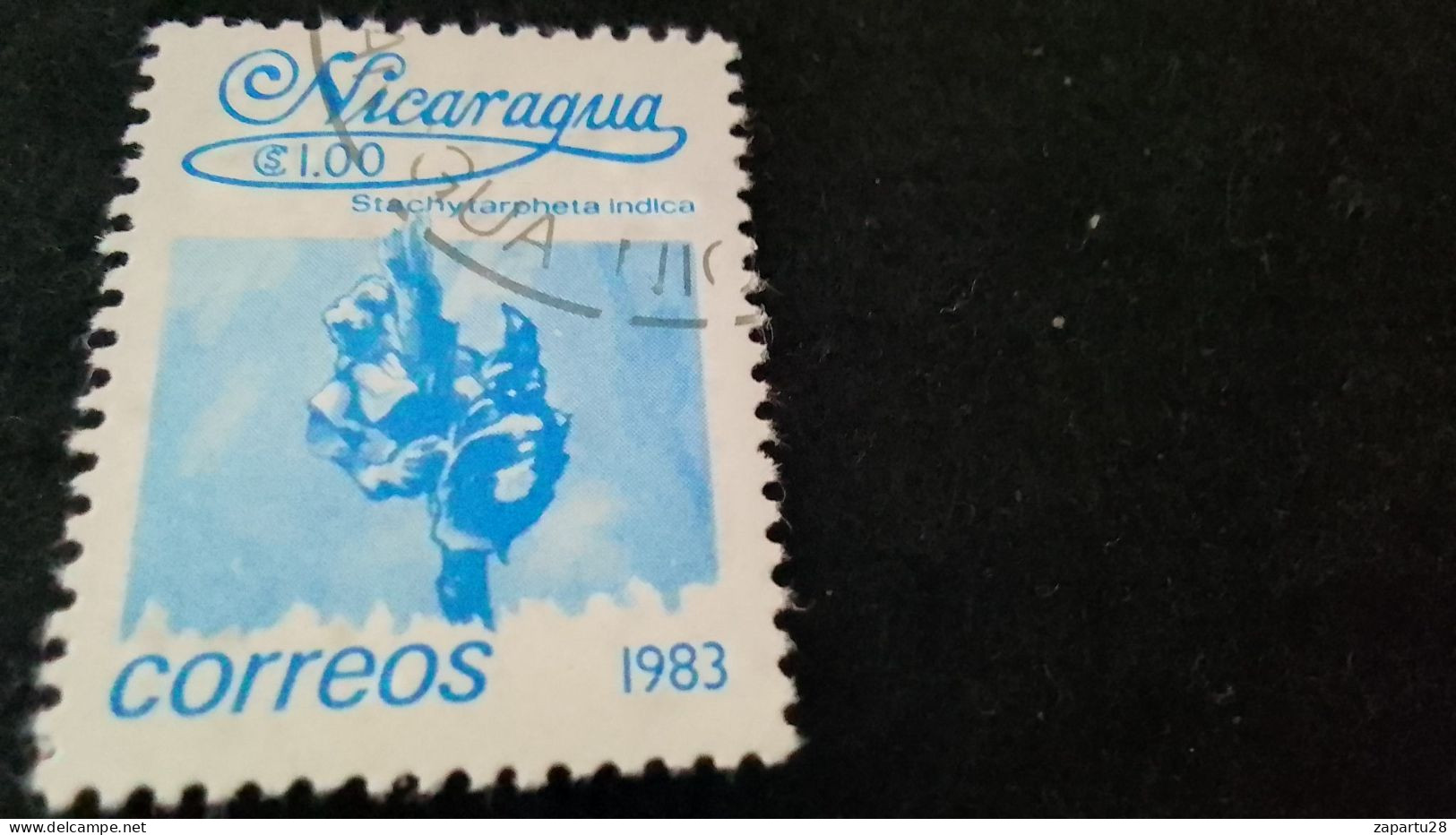 NİARAGUA-1983    1   CORD     DAMGALI - Nicaragua