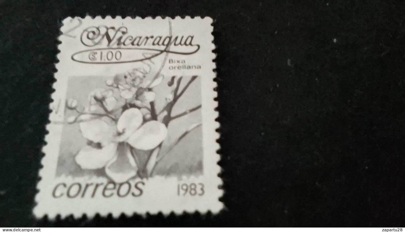 NİARAGUA-1983    1   CORD     DAMGALI - Nicaragua