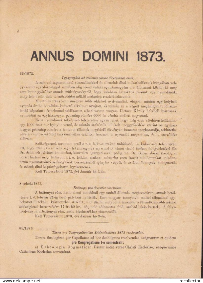 Ordines Circulares Ad Venerabilem Clerum Almae Diocesis Csanádiensis De Anno 1873, 1874-1876, 1877-1878, 1880 Temesvar - Libros Antiguos Y De Colección