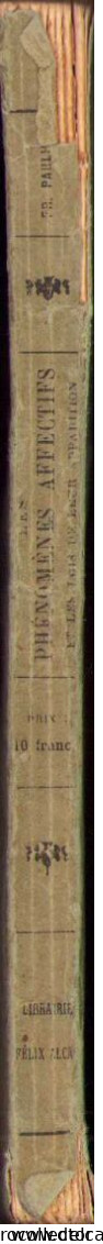 Les Phenomenes Affectifs Et Les Lois De Leur Apparition. Essai De Psychologie Generale Par Fr. Paulhan, 1926 Paris 271SP - Old Books