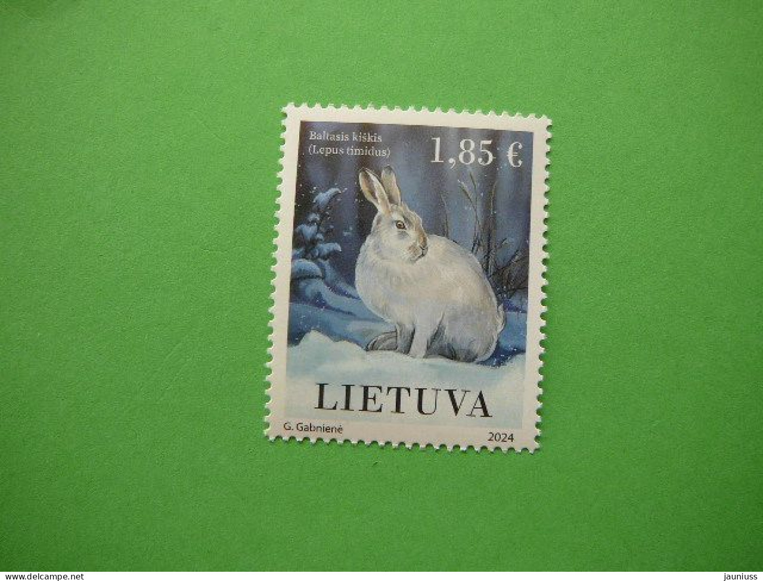 White Hare # Lietuva Litauen Lituanie Litouwen Lithuania # 2024 MNH #1 The Red Book - Lituania