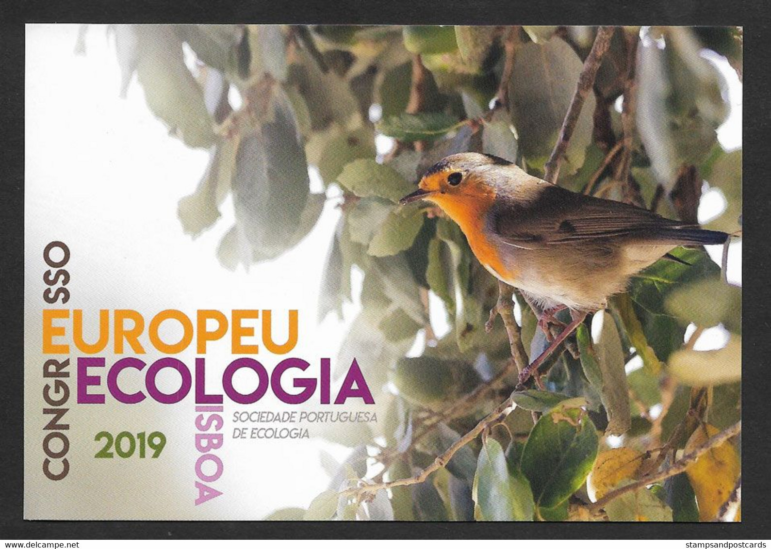 Portugal Oiseau Rouge-gorge Familier Erithacus Rubecula Entier Postal 2019 European Robin Bird Stationery - Passereaux