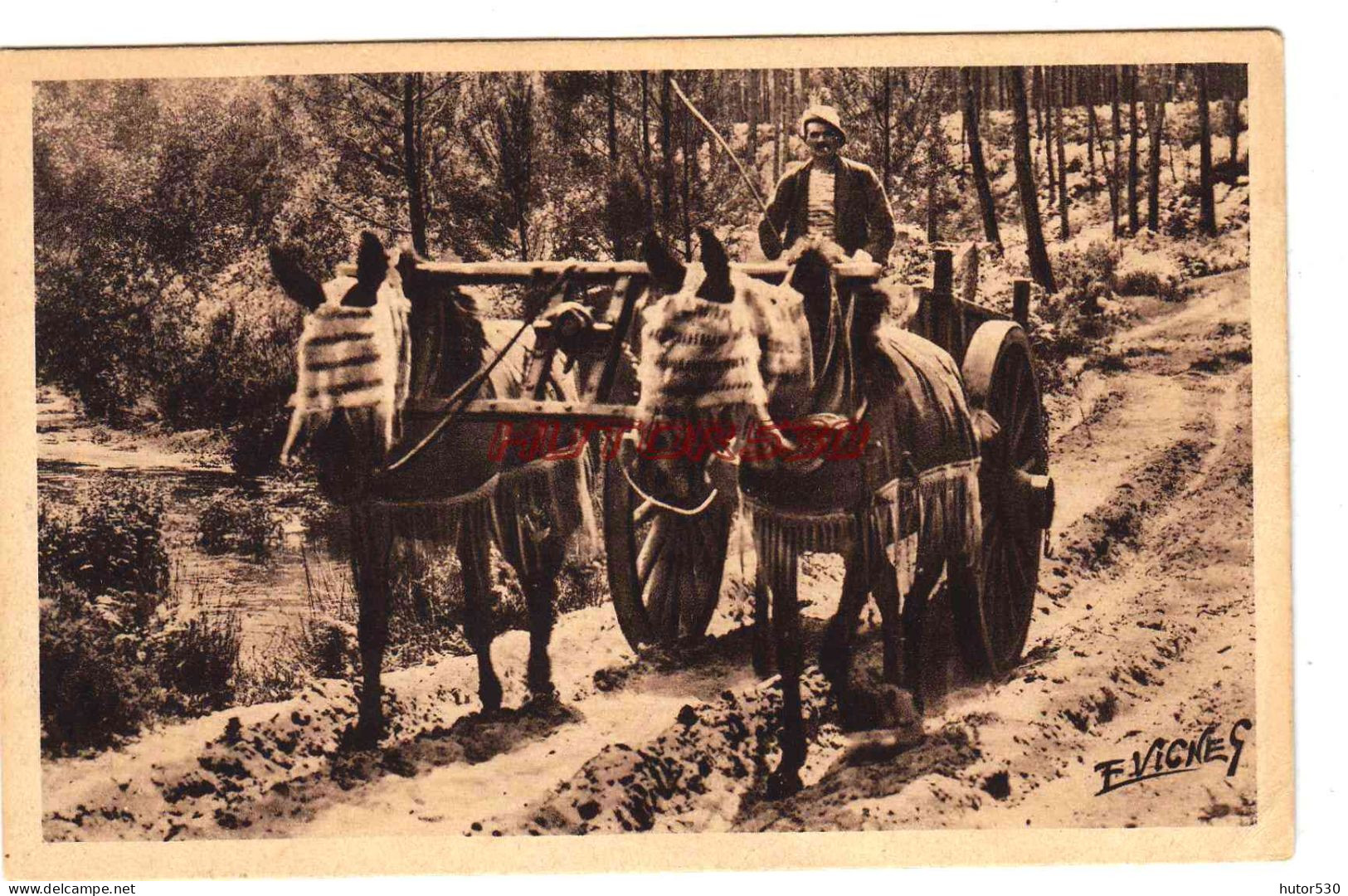 CPA GUYENNE GASCOGNE - ATTELAGE DE MULES EN ETE - Attelages