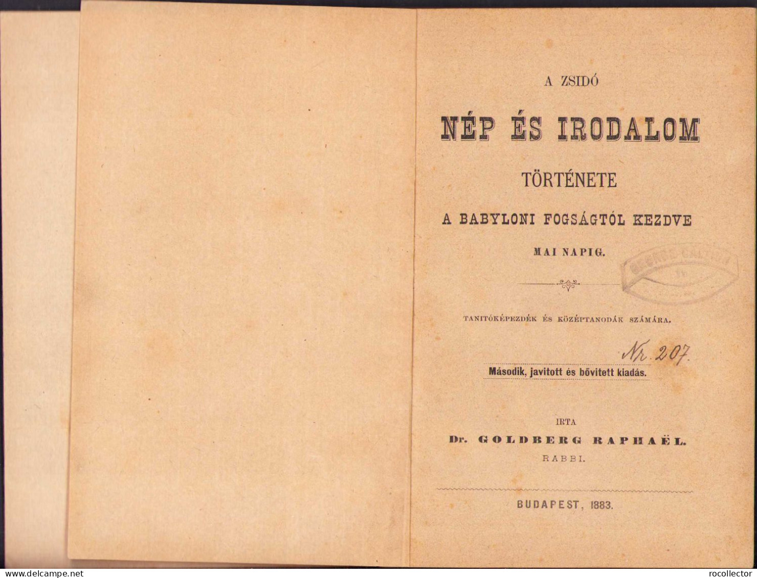 A Zsidó Nép és Irodalom Története A Babyloni Fogságtól Kezdve Mai Napig Irta Rabi Goldberg Raphael, 1883, Budapest 251SP - Libros Antiguos Y De Colección