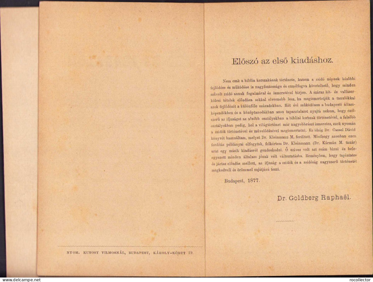 A Zsidó Nép és Irodalom Története A Babyloni Fogságtól Kezdve Mai Napig Irta Rabi Goldberg Raphael, 1883, Budapest 251SP - Libros Antiguos Y De Colección