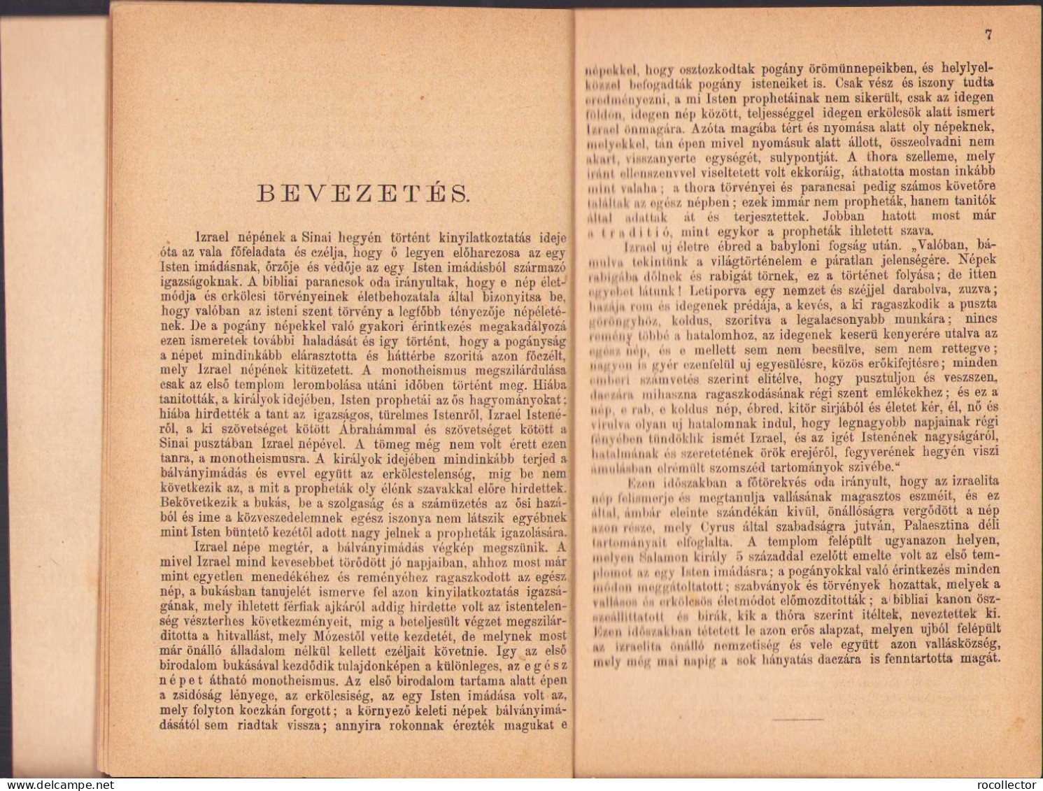 A Zsidó Nép és Irodalom Története A Babyloni Fogságtól Kezdve Mai Napig Irta Rabi Goldberg Raphael, 1883, Budapest 251SP - Livres Anciens