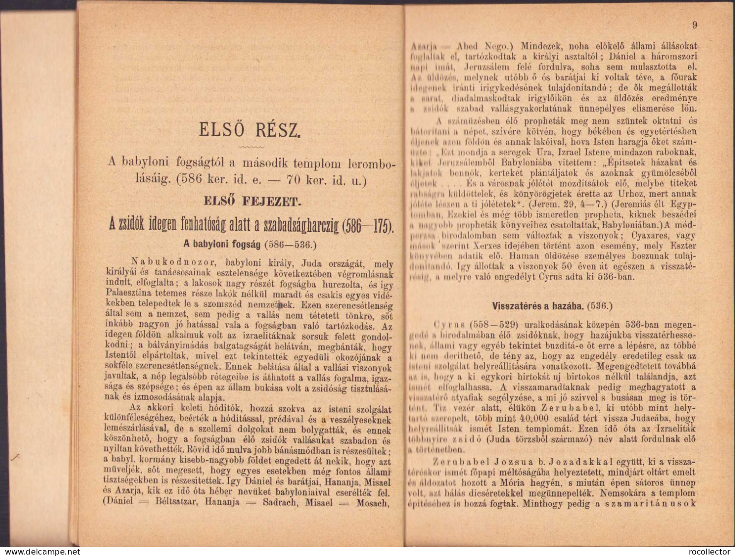 A Zsidó Nép és Irodalom Története A Babyloni Fogságtól Kezdve Mai Napig Irta Rabi Goldberg Raphael, 1883, Budapest 251SP - Livres Anciens