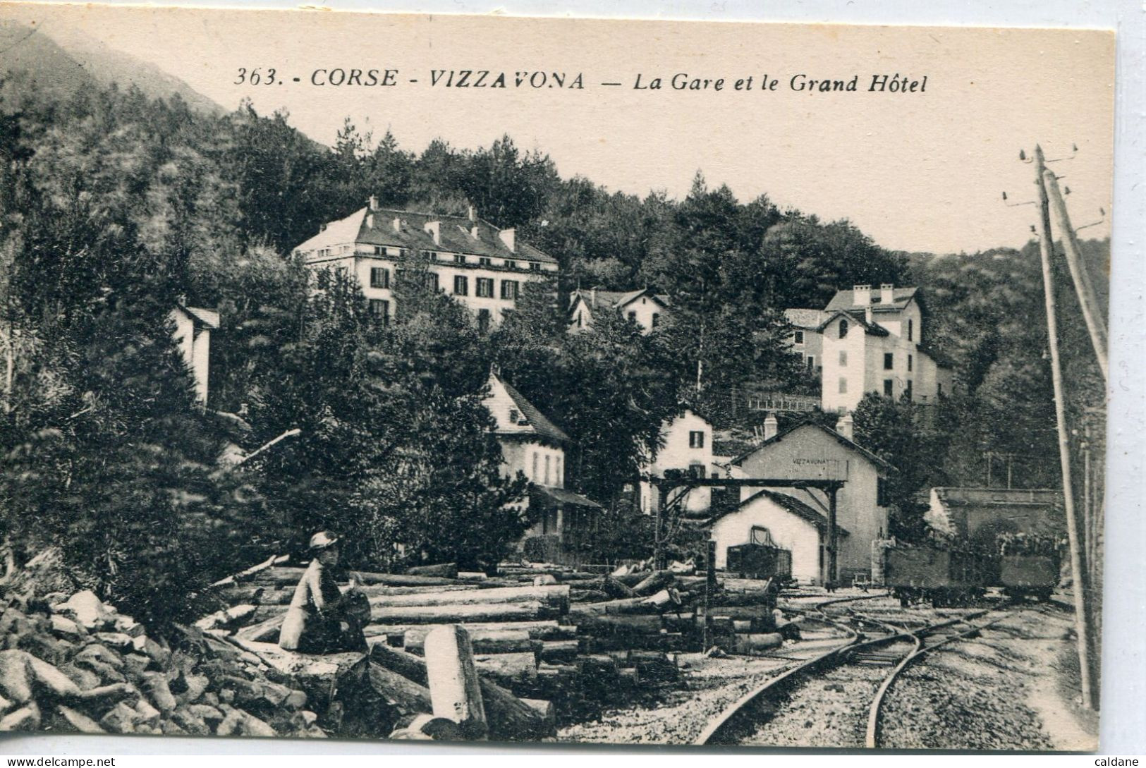 2B-CORSE  -VIZZAVONA-  La Gare  Et Le Grand Hotel - Gares - Sans Trains