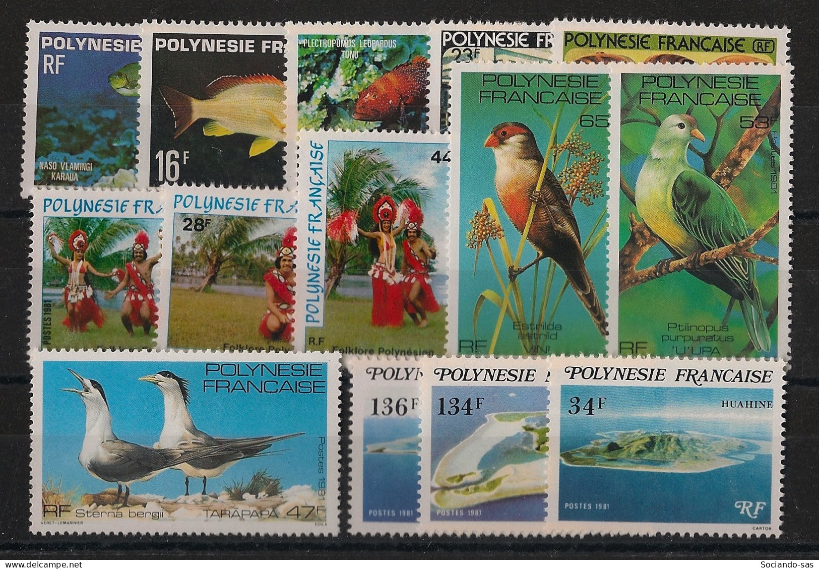 POLYNESIE - Année Complète 1981 - Du N°YT. 160 Au N°173 - Neuf Luxe ** / MNH / Postfrisch - Années Complètes