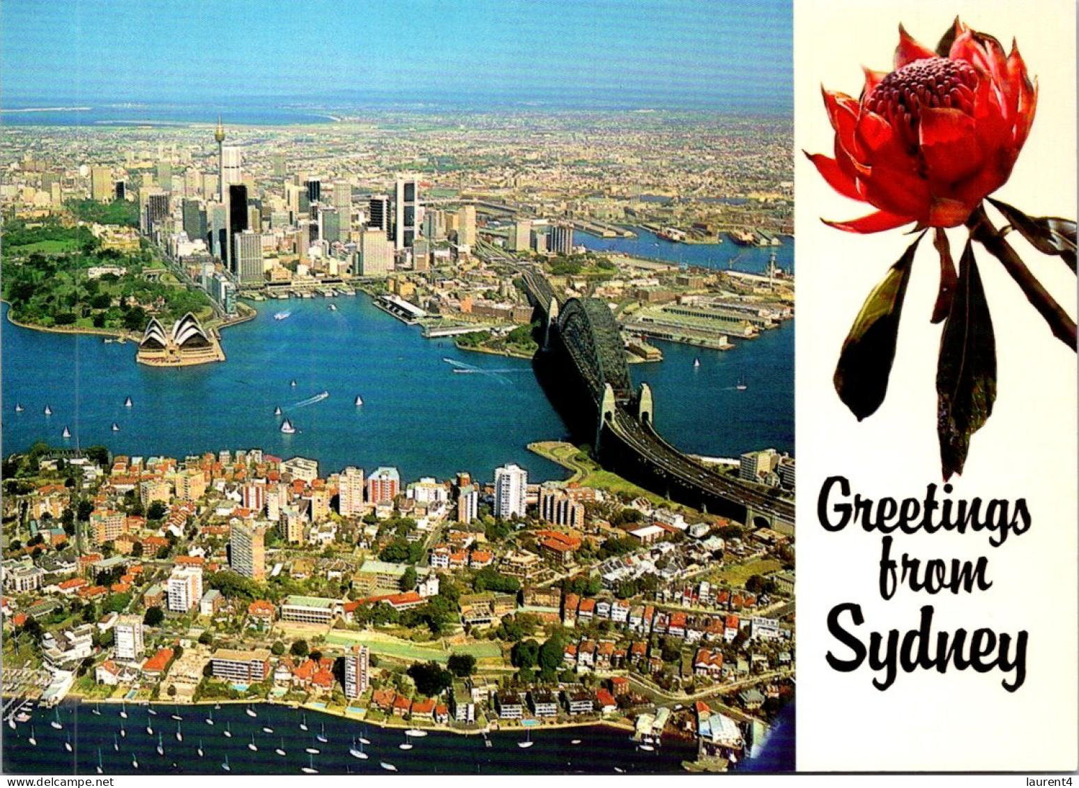 2-4-2024 (4 Y 41) Australia (posted) Greetings From Sydney (NSW)  With State Flower Waratha - Sydney