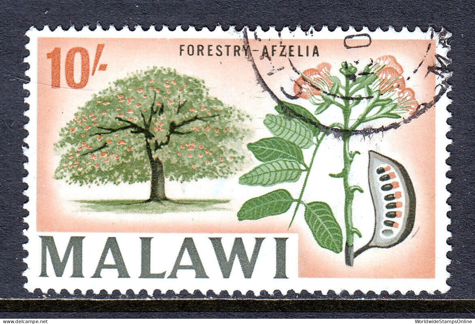 MALAWI — SCOTT 50 — 1967 10/- AFZELIA TREE, WMK. 357 — USED — SCV $18 - Malawi (1964-...)