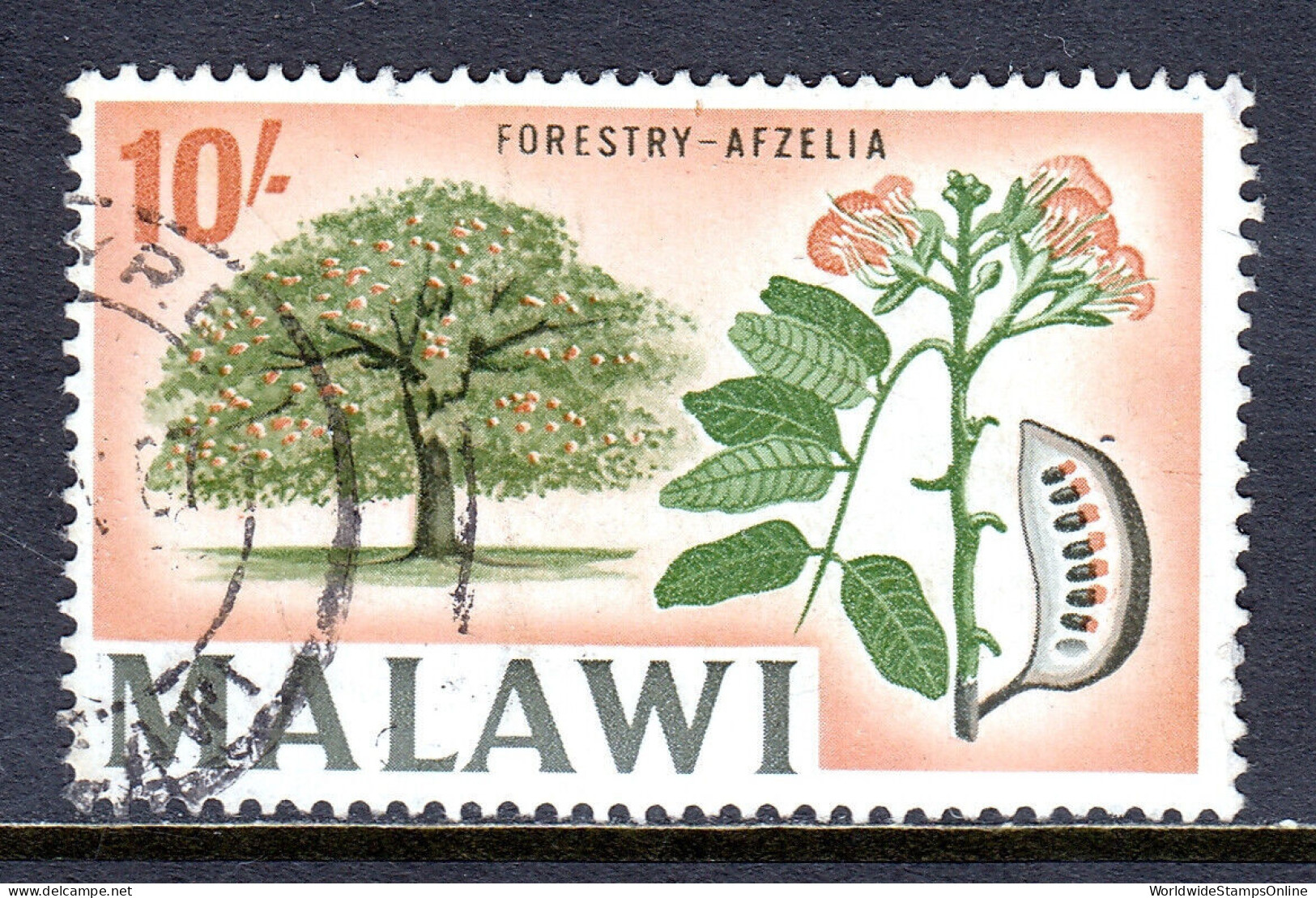 MALAWI — SCOTT 50 — 1967 10/- AFZELIA TREE, WMK. 357 — USED — SCV $18 - Malawi (1964-...)