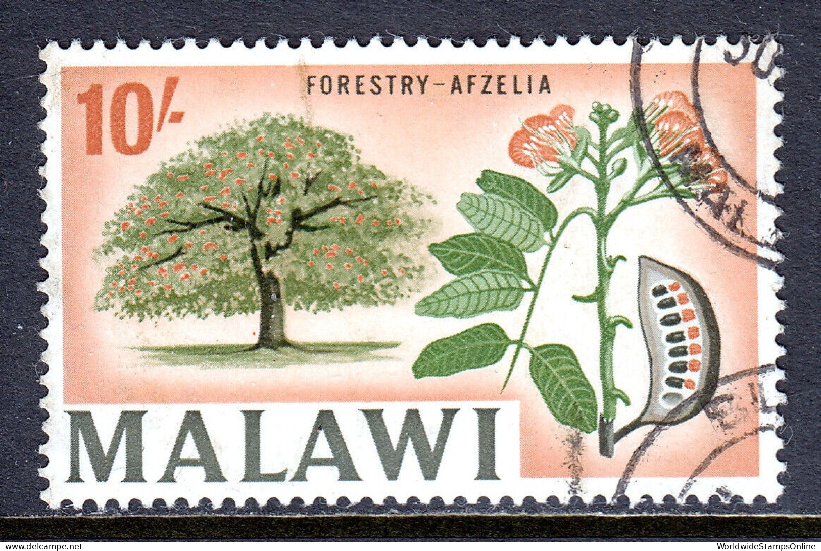 MALAWI — SCOTT 50 — 1967 10/- AFZELIA TREE, WMK. 357 — USED — SCV $18 - Malawi (1964-...)