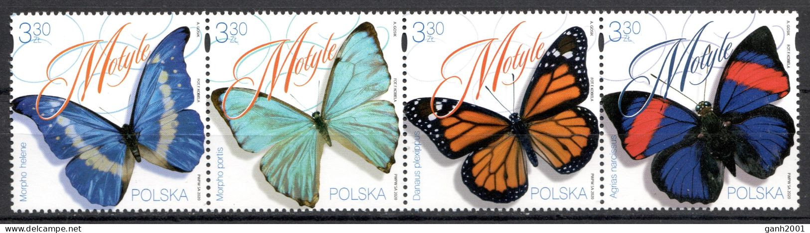 Poland 2020 Polonia / Butterflies MNH Mariposas Papillons Schmetterlinge / Cu22053  27-14 - Schmetterlinge