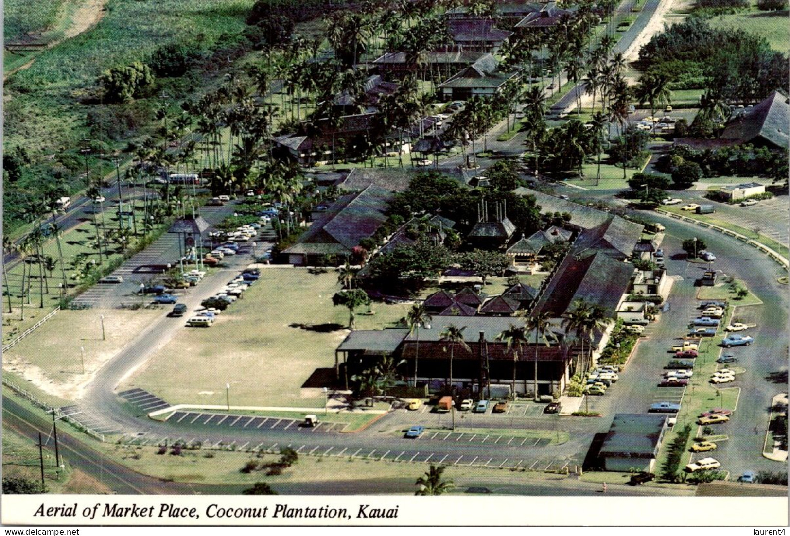 2-4-2024 (4 Y 44) USA - Hawaii Kauai Island - Market Place (Coconut Plantation) - Marktplaatsen