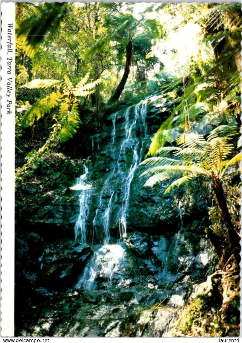 2-4-2024 (4 Y 44) Australia - VIC  Tarra Valley National Park (waterfall) - Autres & Non Classés