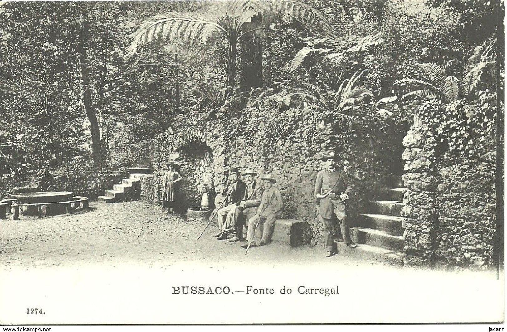 Portugal - Bussaco - Fonte Do Carregal - Animação - Aveiro