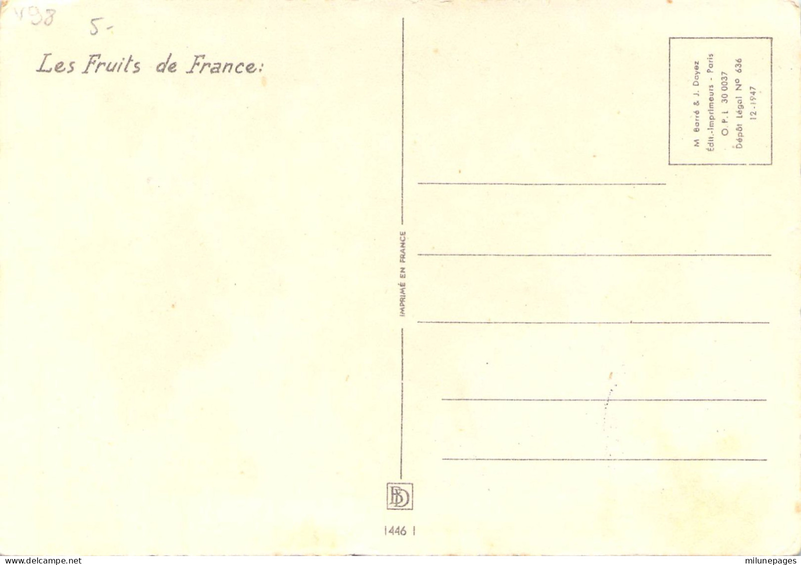 Carte Maximum Saint MArin San Marino 1958 Raisin Uva Sur Carte Illustrée Par Marcel Bloch Les Fruits De France - Briefe U. Dokumente