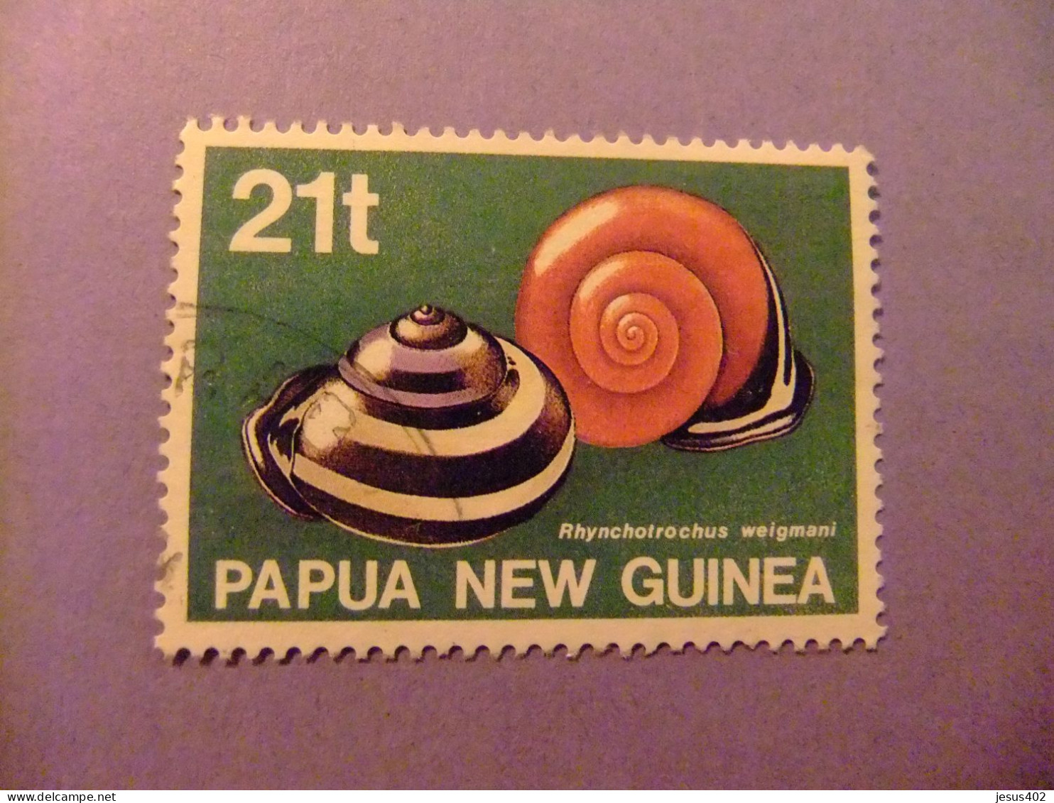52 PAPUA - NEW GUINEA - NUEVA GUINEA 1991 / FAUNA  RHYNCHOTROCHUS WEIGMANI / YVERT 626 FU - Coneshells