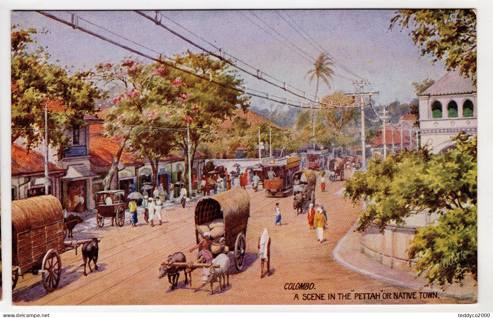 TUCK'S POST CARD Colombo Serie I N.8937 - Tuck, Raphael