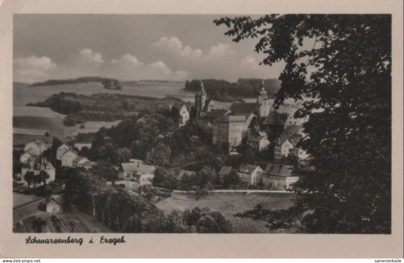 71971 - Schwarzenberg - 1955 - Schwarzenberg (Erzgeb.)