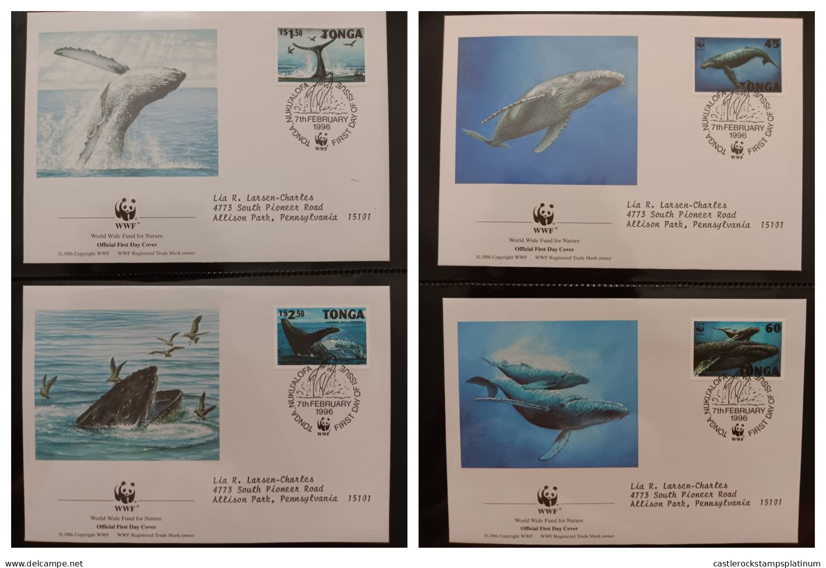 O)   1996 TONGA,  WWF- WORLD WILDLIFE  FUND,  WHALE, MEGAPTERA NOVAEAGLIAE, FDC XF - Tonga (1970-...)