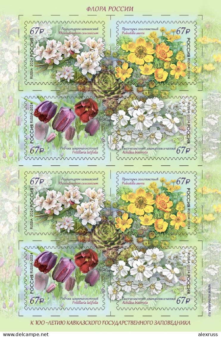 Russia 2024, Flora Of Russia Series, Sheet, Caucasian State Reserve, VF MNH**, See Names Of RARE Flowers Below. - Feuilles Complètes