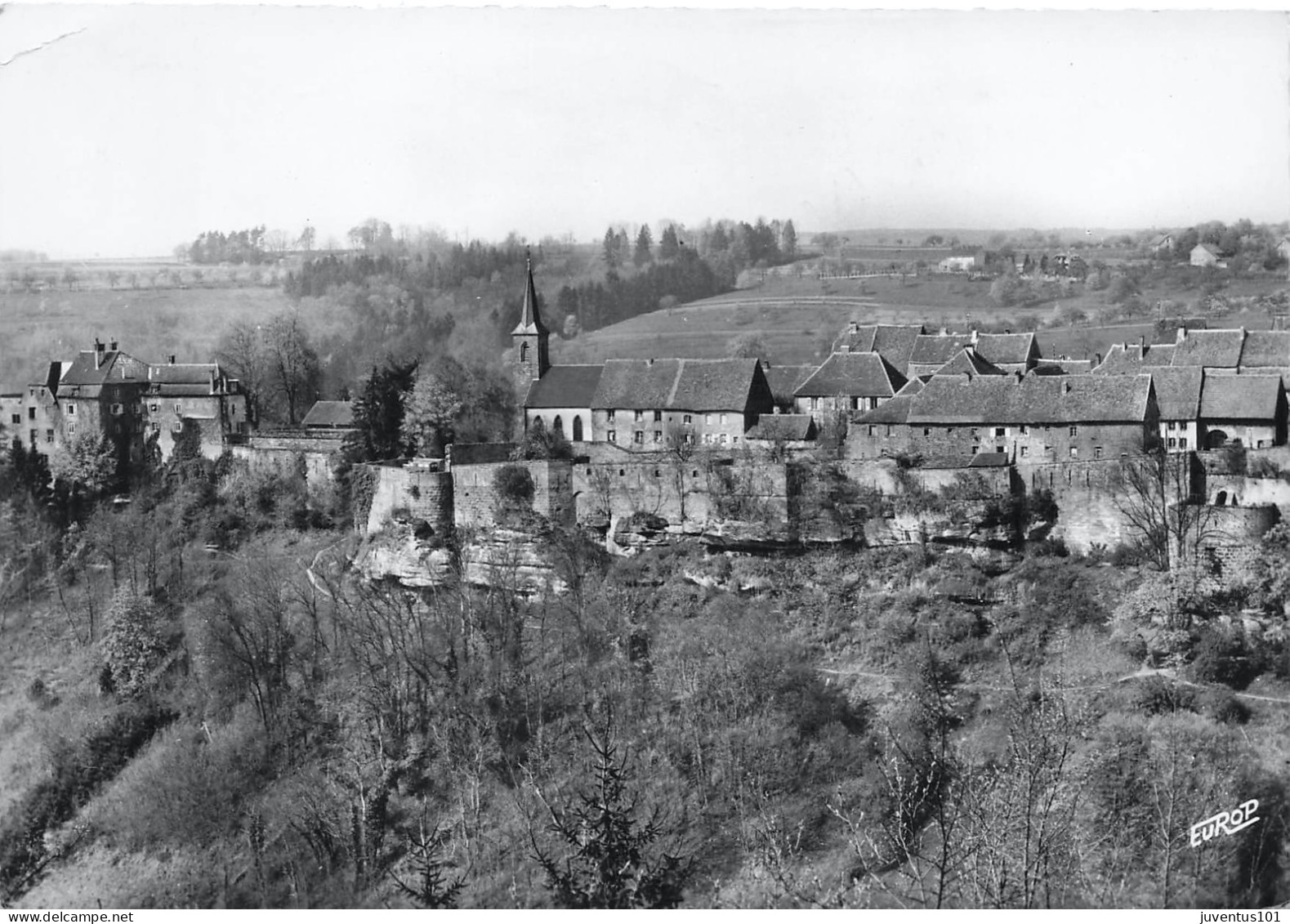 CPSM La Petite Pierre-Vue Panoramique-Timbre    L2816 - La Petite Pierre