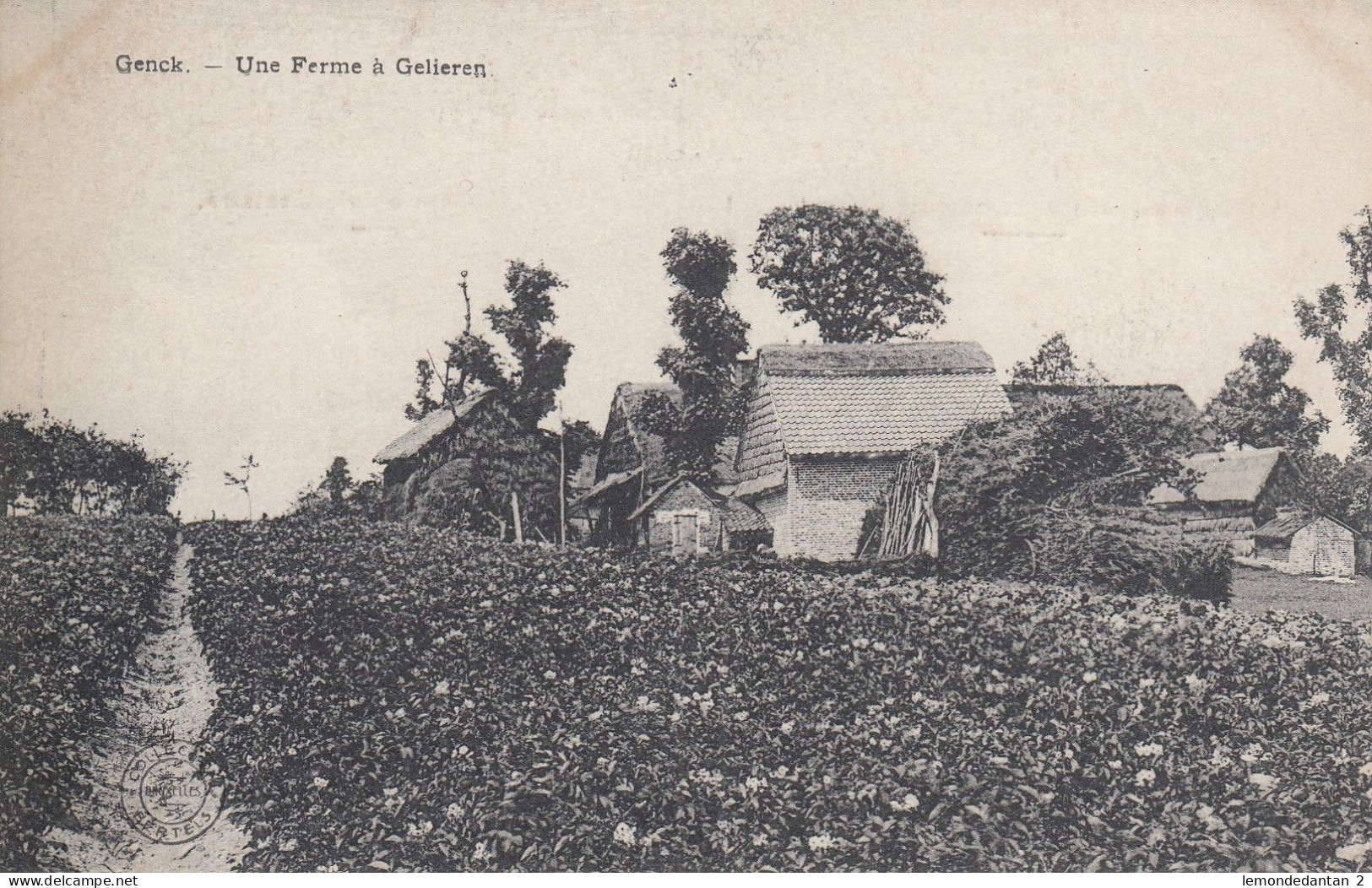 Genck - Ferme à Gelieren - Genk