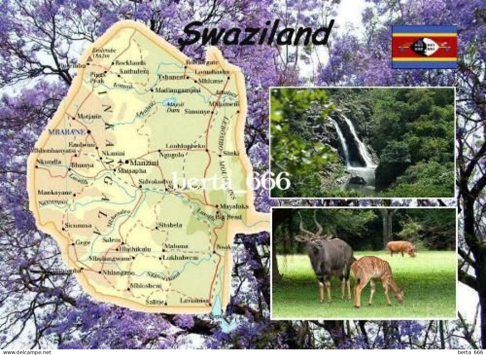 Swaziland Country Map Eswatini New Postcard * Carte Geographique * Landkarte - Swaziland