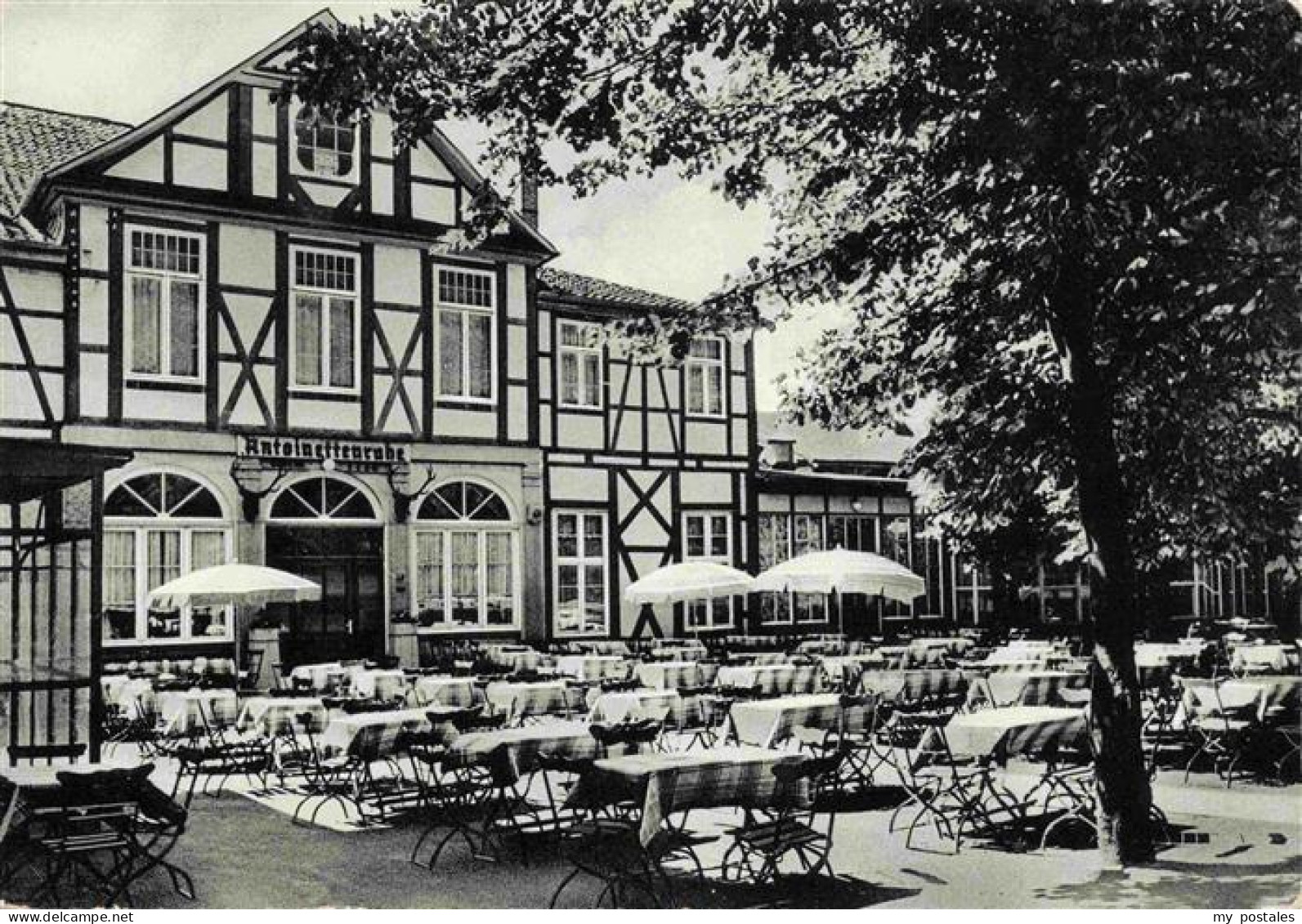 73968662 WOLFENBueTTEL Antoinettenruhe Waldgaststaette Kaffeegarten - Wolfenbuettel