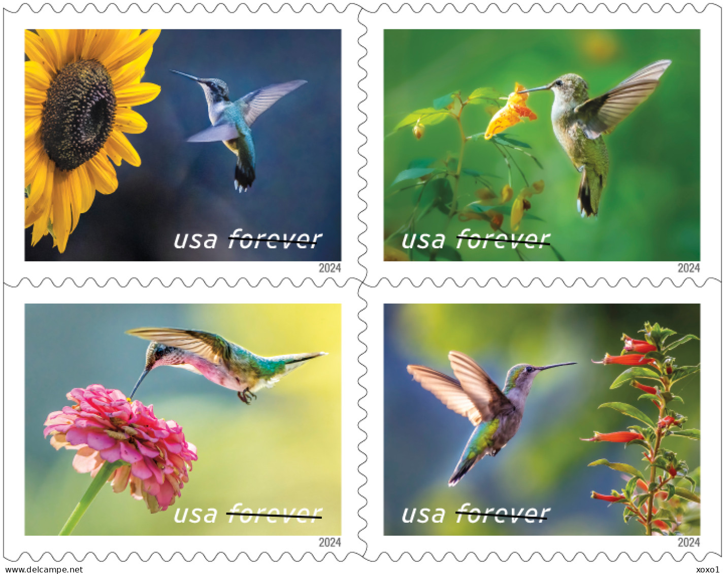 USA 2024 MiNr. XXXX Etats-Unis Birds,Ruby-throated Hummingbird (Archilochus Colubris), Flowers 20v MNH **  28.00 € - Colibríes