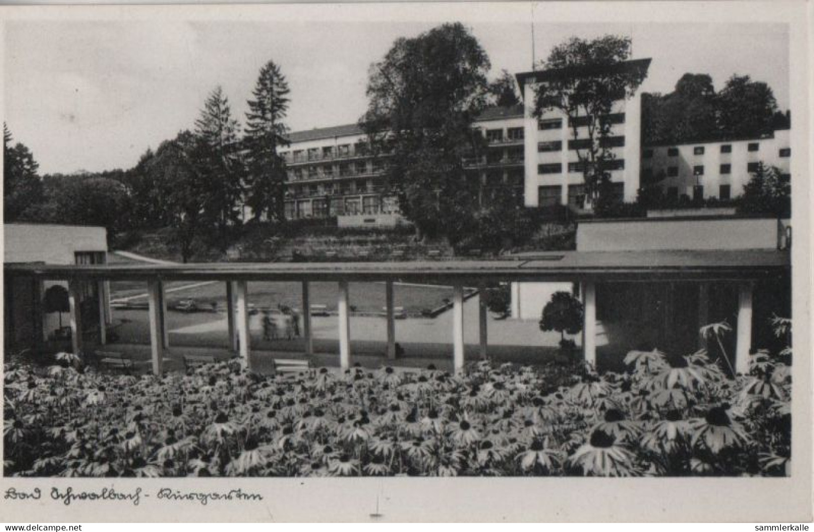 68281 - Bad Schwalbach - Kurgarten - 1938 - Bad Schwalbach