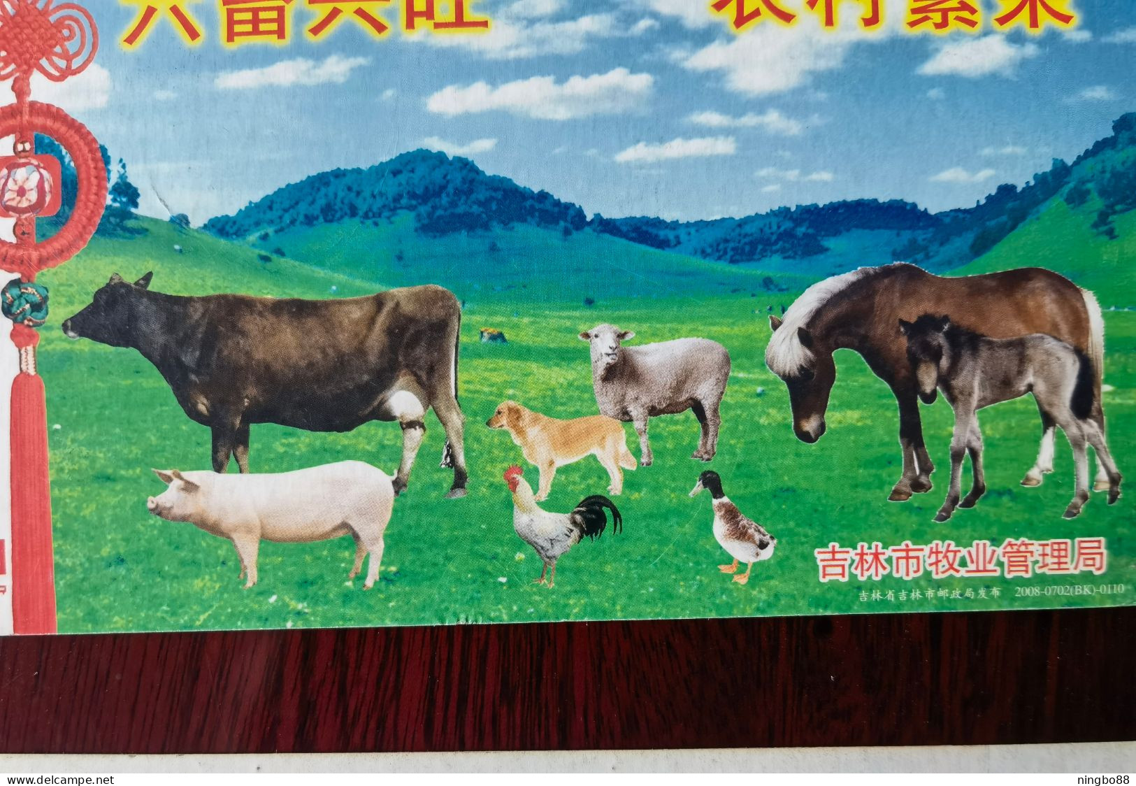 Cattle,sheep,horse,pig,chicken,duck,dog,CN 08 Jilin City Animal Husbandry Administration Bureau Rural Prosperity PSC - Hoftiere