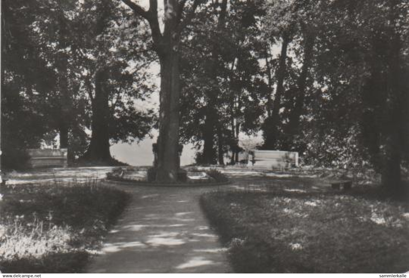 5976 - Mirow, Kr. Neustrelitz - Liebesinsel - 1979 - Neubrandenburg