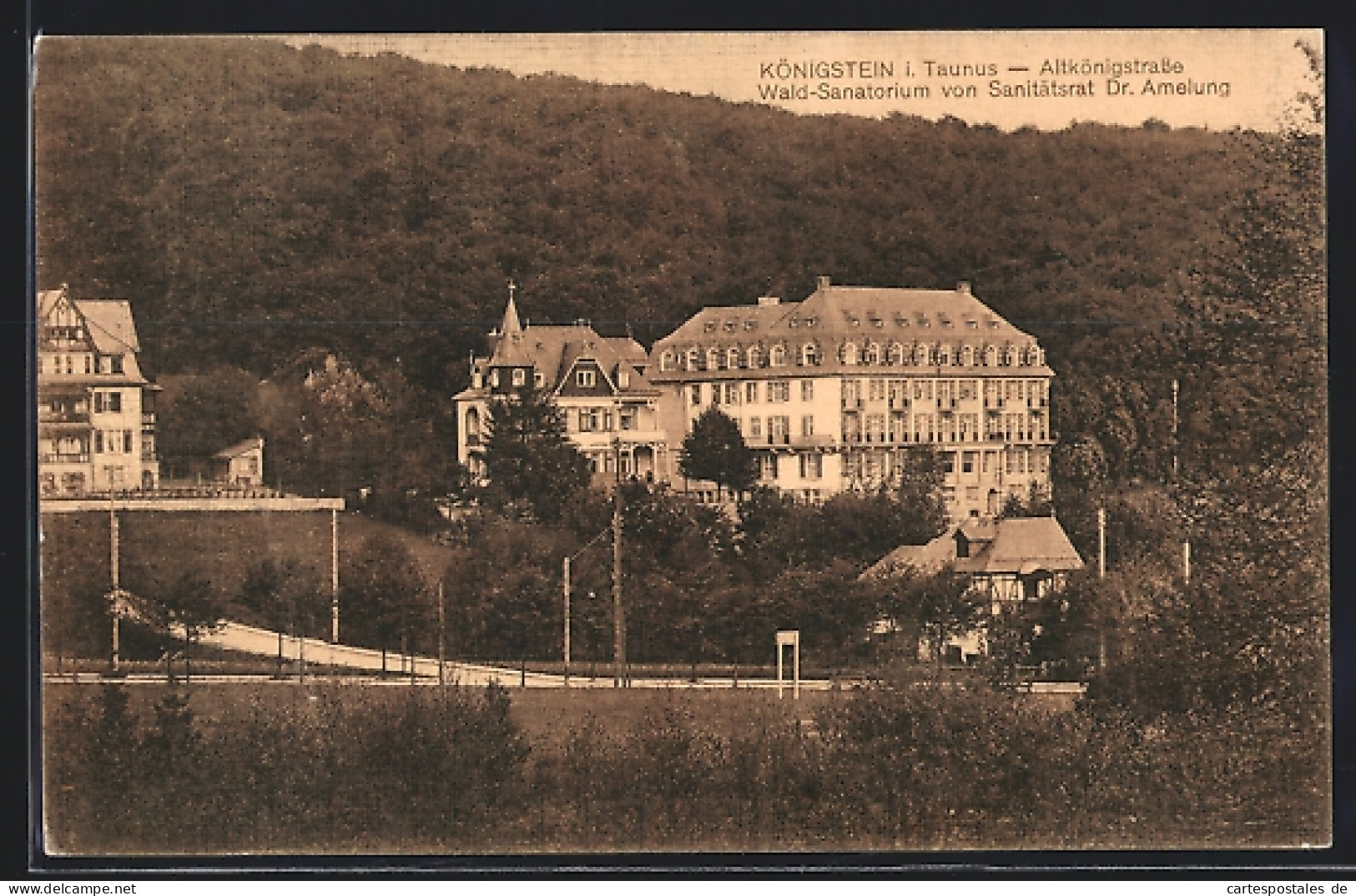 AK Königstein /Ts., Wald-Sanatorium Dr. Amelung  - Koenigstein